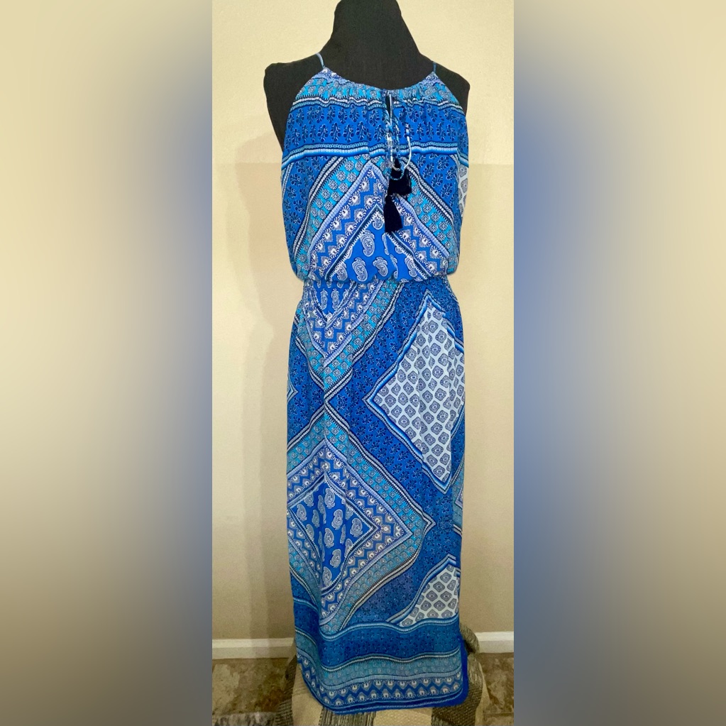 Enfocus Studio Blue And White Maxi Dress